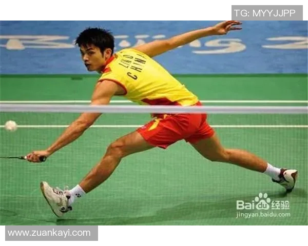 武汉羽毛球队控制打法深度分析与战术解析